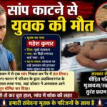 सांप के काटने से युवक की मौत, घर के बाहर सफाई के दौरान हुआ हादसा